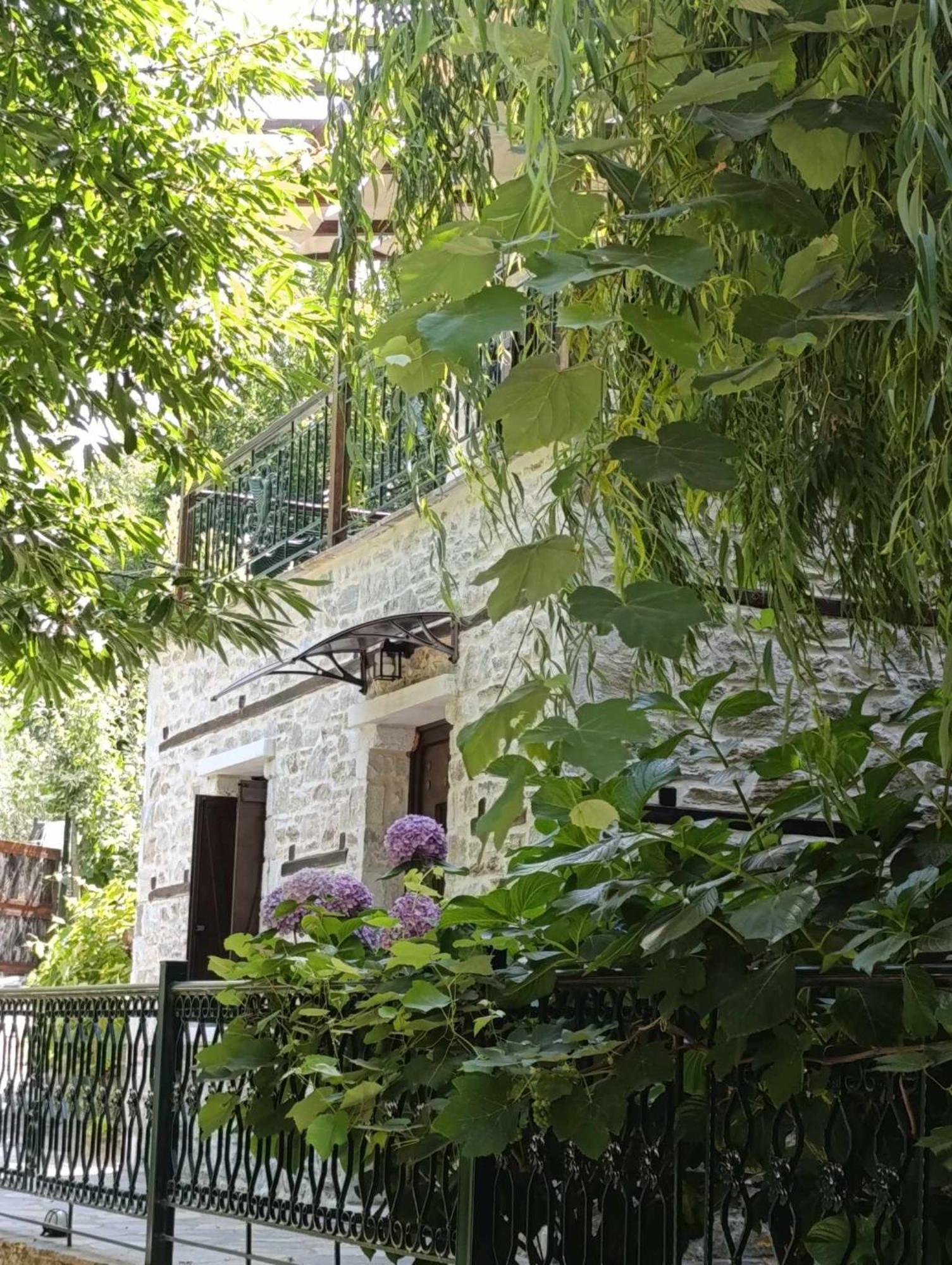 Μountain Whispers Διαμέρισμα Mourésion Εξωτερικό φωτογραφία